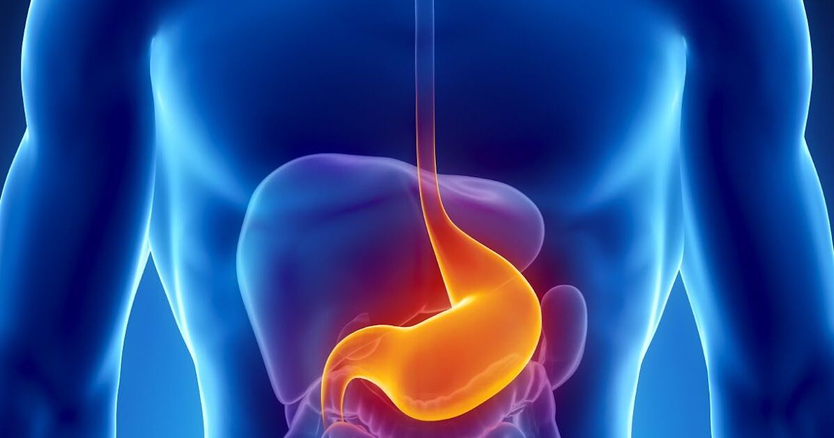 Contraindicaciones para limpiar el cuerpo de parásitos.
